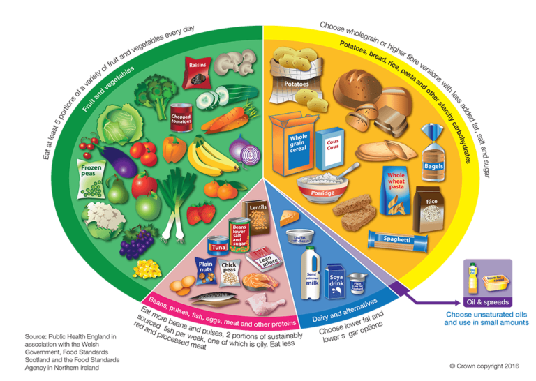 Healthy Plate จานอาหารสุขภาพ สไตล์ Harvard | Sapiens Health